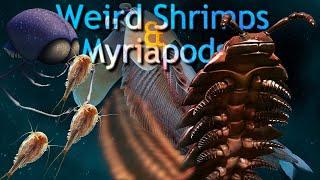 Weird "shrimps" and Myriapods