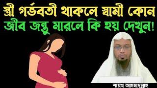 স্ত্রী গর্ভ*বতী থাকলে স্বামী কোন জী*ব জ*ন্তু মা*রলে কি হয়? দেখুন