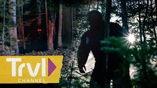 Too Close For Comfort: Bigfoot Encounters in Alaska | The Alaska Triangle | Travel Channel