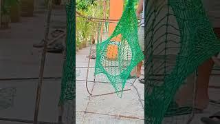 huge bobo fish trap #viral #fishing