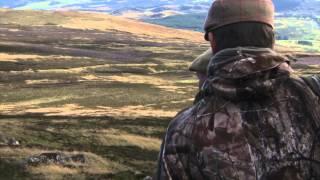 Scottish highland deer stalking - an introduction