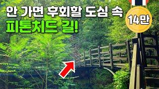 Phytoncide Peak! Hidden '5km' Trek in Seoul | Day Trip by Public Transport