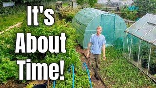 FINALLY Things Are Actually Growing At The Allotment! | Gardening For Beginners