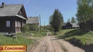 Скромная, но уютная деревня в окружении лесов. Деревня в глубинке России. Заброшенные дома.