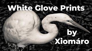 White Glove Prints by Xiomaro