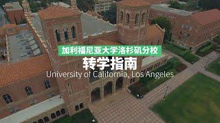 加州大学洛杉矶分校 UCLA 转学申请攻略！