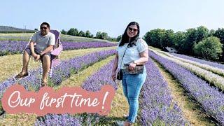 Kelso Lavender Farm | Daryl and Jacque