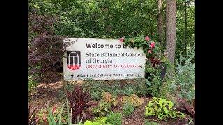 Walk in the Park: State Botanical Garden of Georgia