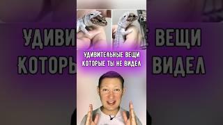 Удивительные вещи, которые стоит увидеть.