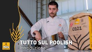 Tutto sul POOLISH - Introduzione | Farina Petra