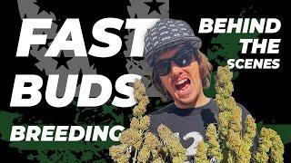 Behind the Scenes | Fast Buds Breeding | Episode 1