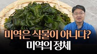 미역은 식물이 아니다? 식물이 아닌 이유