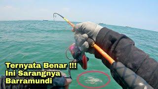 Alhamdulillah !!! Benar saja, Ternyata Di Bawah Kaki Saya Sarangnya Barramundi