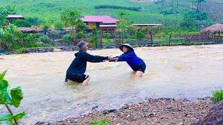 Harvesting tomatoes and peppers To Sell, UNSUDDENLY DISASTER rain floods threaten Sang vy Farm