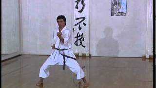 Tekki Nidan - Efthimios Karamitsos - Karate - Kata - Shotokan