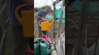 Time saving idea #garden #spring #growyourownfood #ideas #water #food #birds #farming #allotment