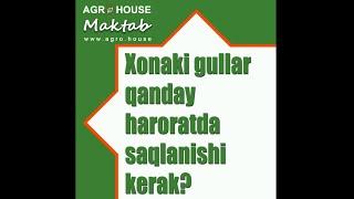 Xonaki gullar qanday haroratda saqlanishi kerak?