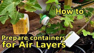 Air Layering made easy - Preparing containers