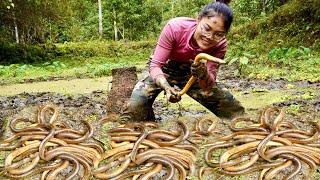 Catching eels in the swamp and selling them at the market, building a single life in the forest.