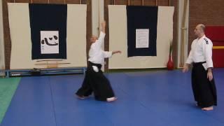 Will Stoelman 60 - Demonstration dojo Ki-Zentrum