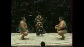 Sumo Paris Bercy 1995 - Musashimaru contre Akebono