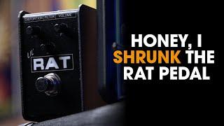 PRO CO LIL RAT DISTORTION PEDAL DEMO & Lil Rat vs Rat 2 vs Magus Pro High Gain Pedal Shootout