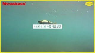 [MEGABASS] 이렇게 좋을 수가 있나요? 빅베이트 아이 슬라이드 185(SS) 수중 액션 영상 (빅베이트, 배스 낚시, 빅베이트 액션, 런커, 김성남, 양성훈)