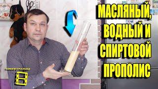 КАК ПРИГОТОВИТЬ МАСЛО ПРОПОЛИСА, ВОДНЫЙ ПРОПОЛИС, ПРОПОЛИС НА СПИРТУ? ДЛЯ НАЧИНАЮЩИХ ПЧЕЛОВОДОВ 22-2