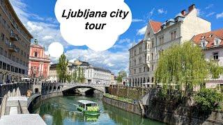 Ljubljana city tour with a guide