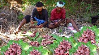 HUNTING AND COOKING QUAIL Catch and Cook Quail in the Village