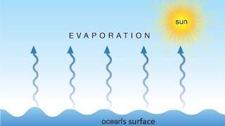 What is evaporation / Solutions / Evaporation in Chemistry by shahid sir #Neet #Jee #Chemistry
