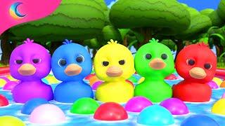 Five Little Ducks | Kids Songs | BluLoo Nursery Rhymes & Kids Songs