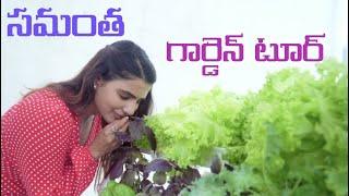 Live Exclusive Samantha Akkineni Garden Tour//Gossip Girl//Saaki//SAAKI. World