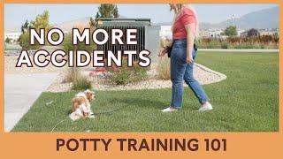 Potty Training [Video 13/14]