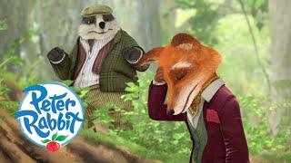 Peter Rabbit - Peter Turns Tommy Brock and Mr Tod Against Each Other! | Cartoons for Kids