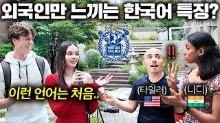 최근 한국어 배우는 외국인들이 격하게 공감하는 것 (서울대 어학당)