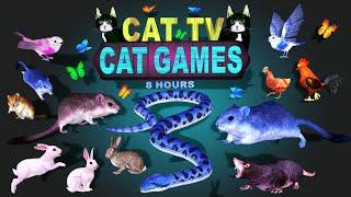 CAT GAMES FOR CATS | ULTIMATE ENTERTAINMENT MOUSE HIDE SEEK JERRY HOLE FUN FOR FURRY FRIENDS! 