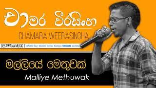 Malliye Methuwak - Chamara Weerasingha | Chamara Weerasinghe Songs | Best Sinhala Songs