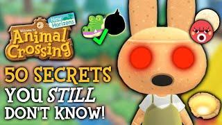 50 Animal Crossing Secrets You STILL Don’t Know In 2024