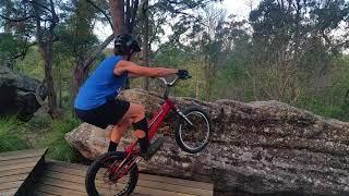 Training In The Forest. A Serious Edit, for a Serious Rider.