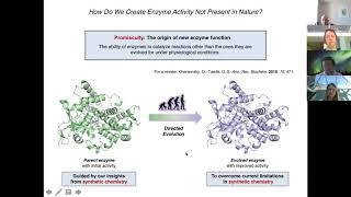 Directed Evolution of Cytochrome P450 Enzymes for the Asymmetric Amination of C(sp3)-H Bonds