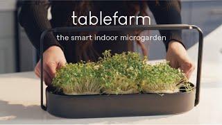 tablefarm — the smart indoor microgarden | Design & Tech in 2020