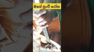 Mage Punchi Rosa Male Guitar cover Amarasiri Peiris