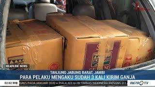 Polda Jambi Gagalkan Penyelundupan 250 Kg Ganja