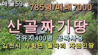 (거래완료)김천토지 김천땅/김천시 부항면 월곡리 산골짜기 자연인 토지/평수785평/매매7000만원