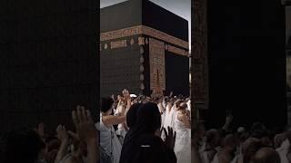 Hasbi Rabbi Jallah Mafi Qalbi GhayrUllah|| New islamic status|| #ytshorts #video2024 Areeba Islamic.