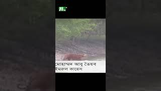 সুন্দরবনের অভয়ারণ্যে দিয়ে ভারতীয় নৌ চলাচলে হু'ম'কির মুখে জীববৈচিত্র্য | NTV News