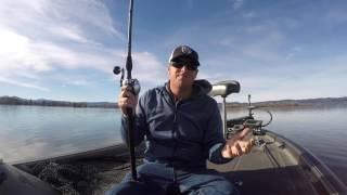 Best Big Swimbait Rod: Gear Review