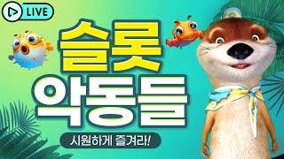 [슬롯 실시간] 슬롯악동들과 함께하는 슬롯 부시기! 슬롯 다 뽀개줄게!  #슬롯머신 #슬롯 #프라그마틱 #잭팟 #slot #pragmatic