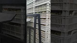 صادرات به عراق